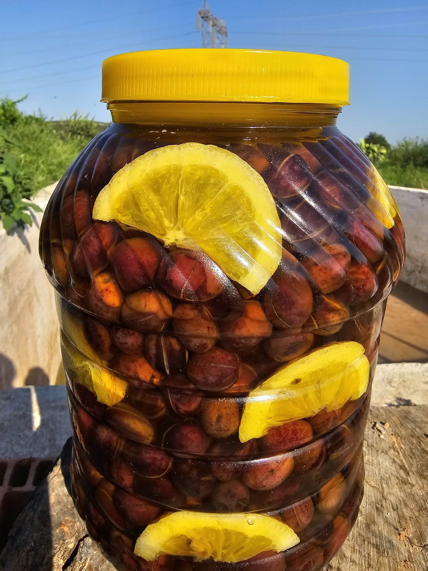 resm MİLAS  YAĞLI ÇİZİK ZEYTİN 5 KG