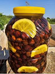 Resim MİLAS  YAĞLI ÇİZİK ZEYTİN 5 KG